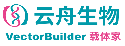 vectorbuilder-logo